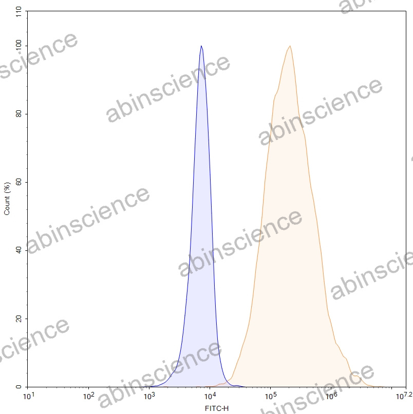 HEK293T Human CD66c/CEACAM6 Stable Cell Line