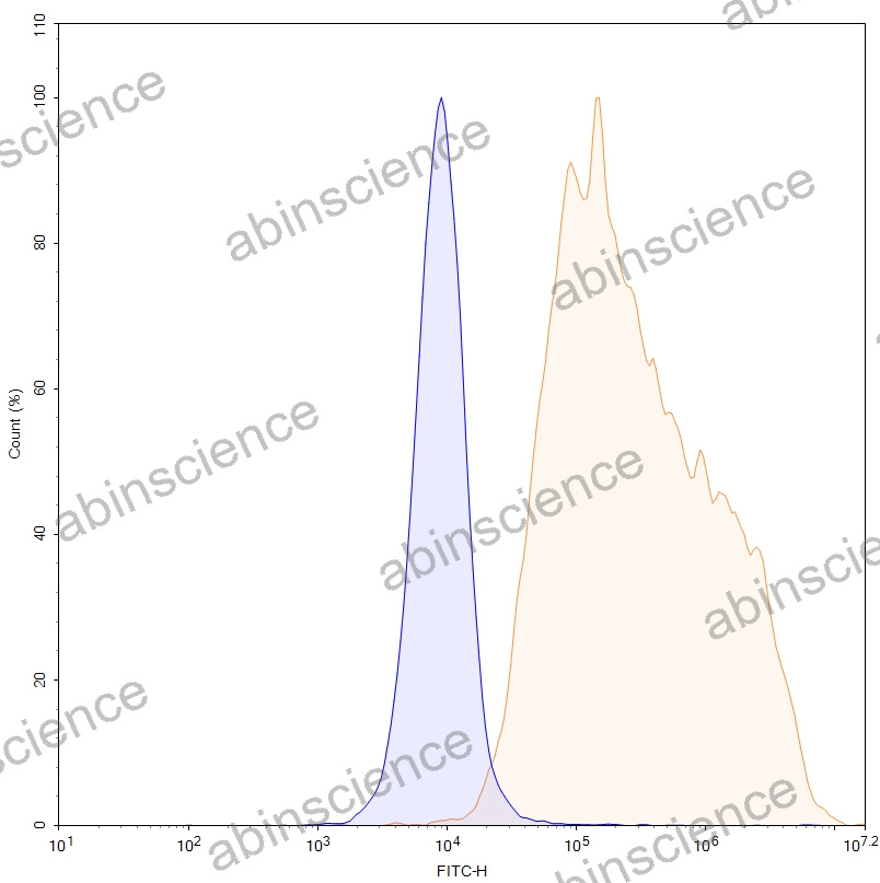 HEK293T Human CD183/CXCR3 Stable Cell Line
