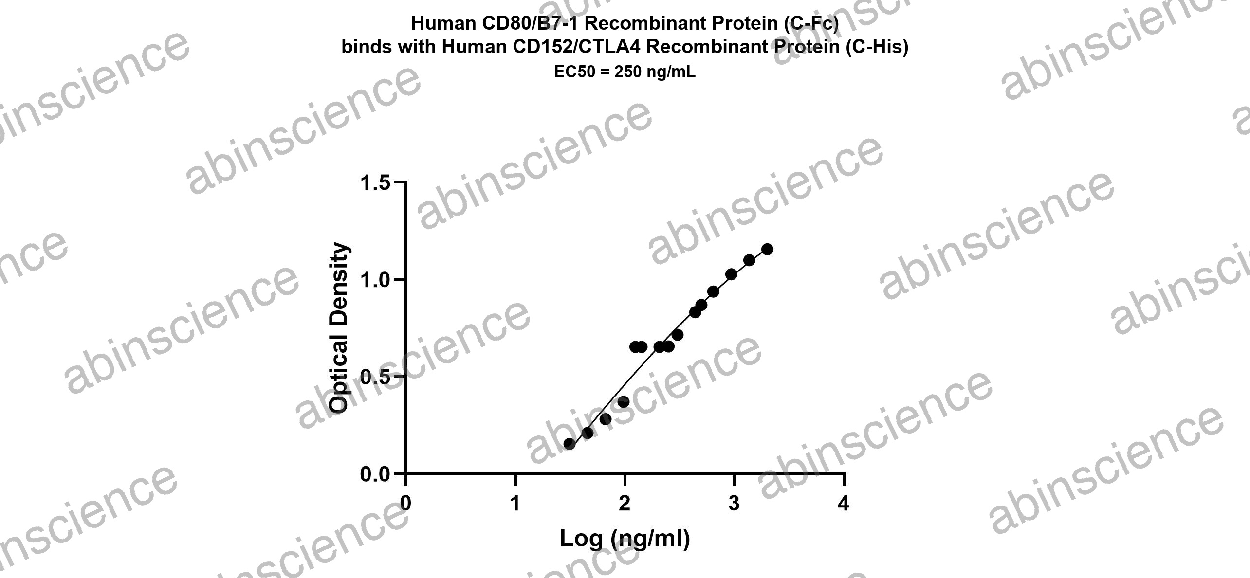 Human CTLA-4 Recombinant Protein (C-His)
