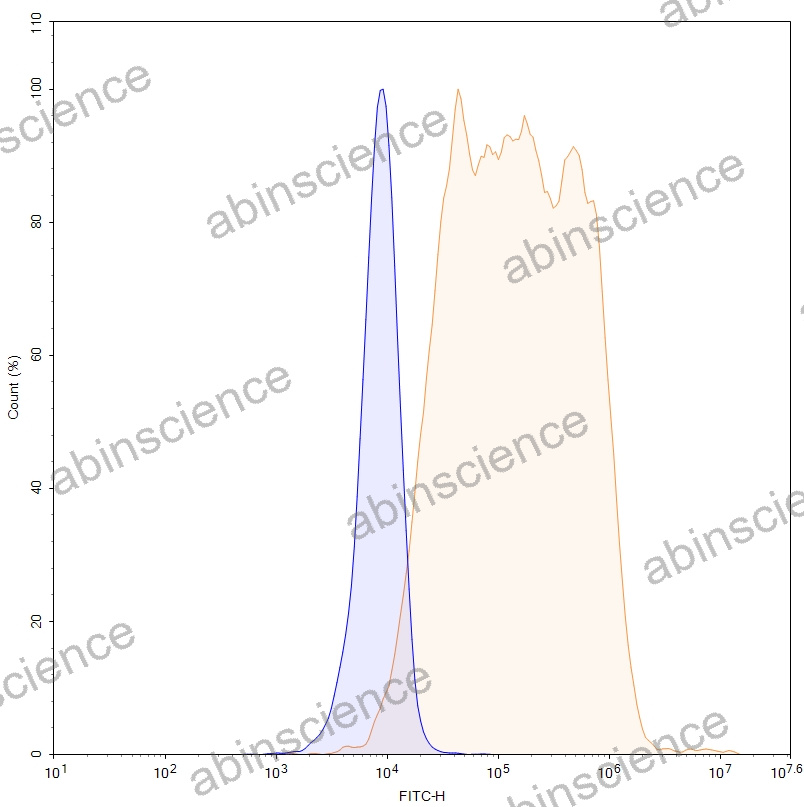 HEK293T Human CD194/CCR4 Stable Cell Line
