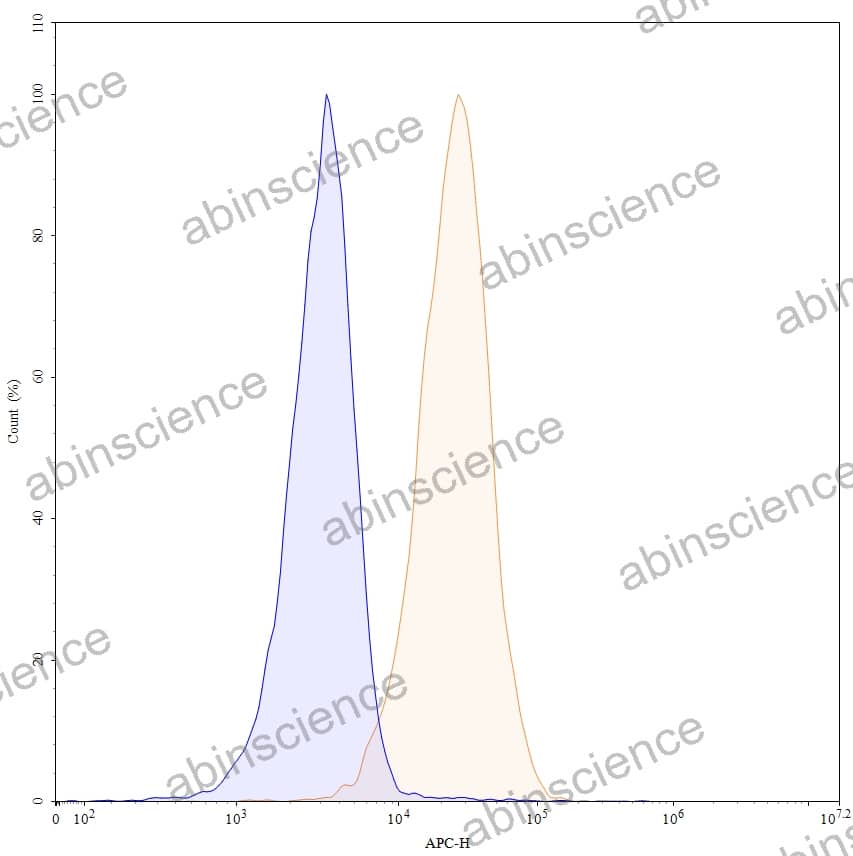 Anti-Human CD70 Recombinant Antibody (27B3), APC