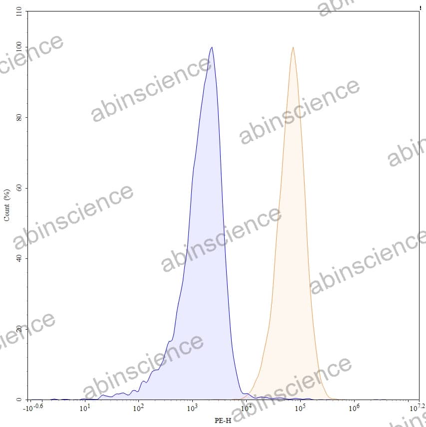 Anti-Human CD70 Antibody (1F6), PE