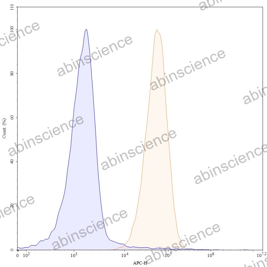 Anti-Human CD70 Antibody (1F6), APC