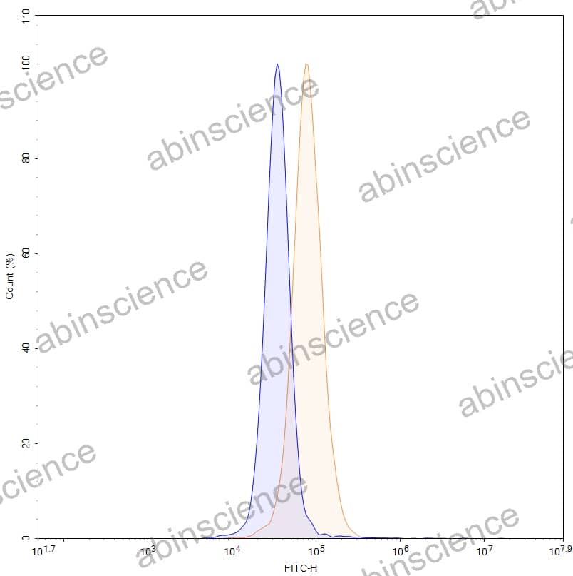 Anti-Human MAGEA3 Recombinant Antibody (SAA1562)