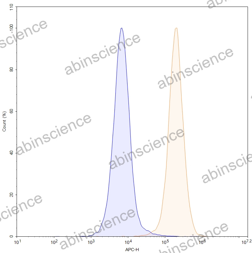 CHO Human CLDN18.2 Stable Cell Line