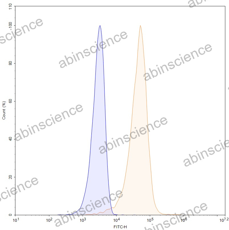 Anti-Human CD3 epsilon Recombinant Nanobody (SAA2242)