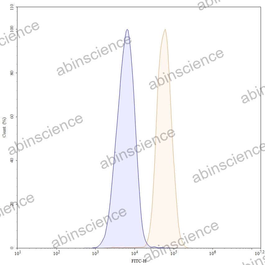 Anti-Human Insulin R/CD220 Reference Antibody (IRAB-B, RUO)