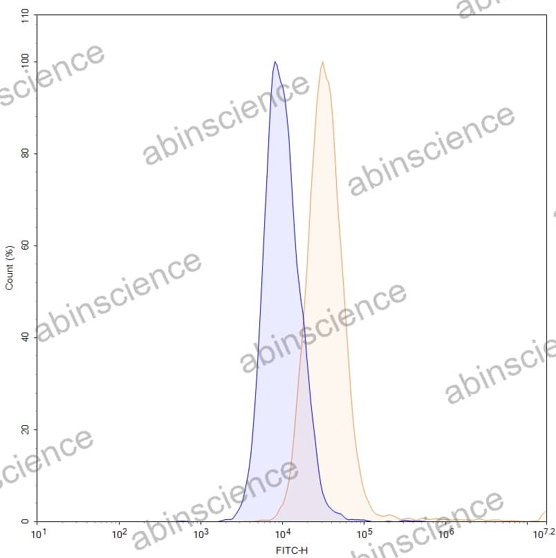 Anti-Human Insulin R/CD220 Reference Antibody (IRAB-A, RUO)