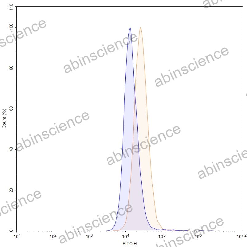 Anti-Human Insulin R/CD220 Recombinant Antibody (SAA0334)