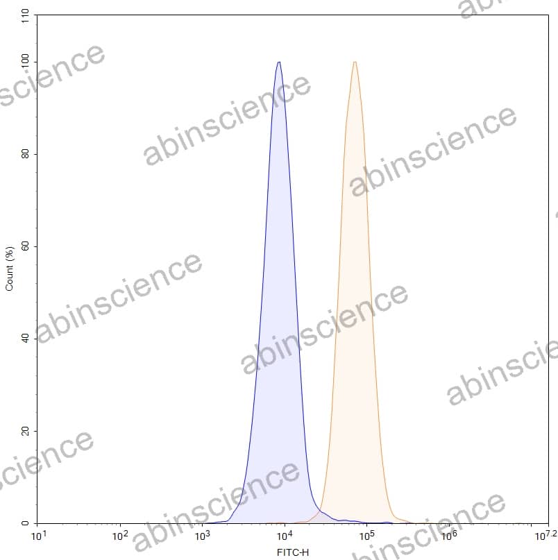 Anti-Human Insulin R/CD220 Recombinant Antibody (SAA0334)