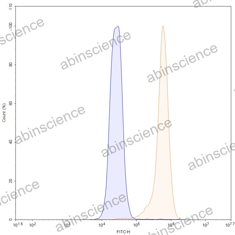 Anti-Human Fibronectin Recombinant Antibody (SAA0522)