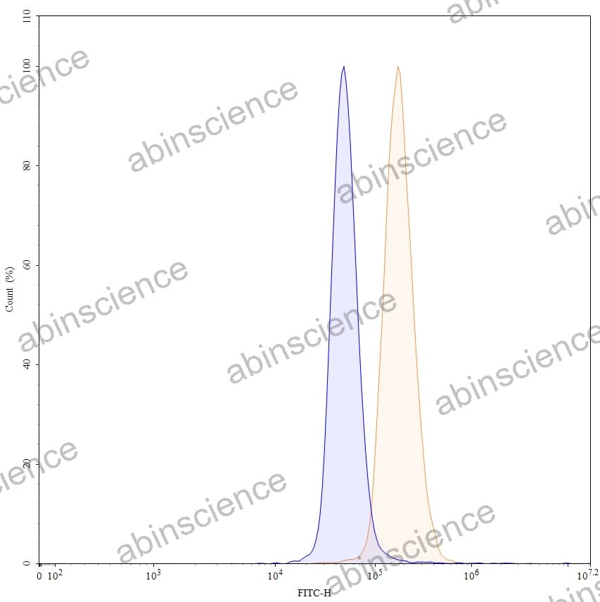 Anti-Human Gal1/LGALS1 Recombinant Antibody (8A12)