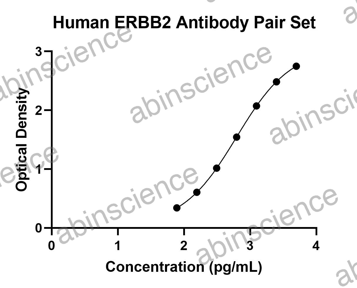 Human ErbB2/Her2 Antibody Pair Set