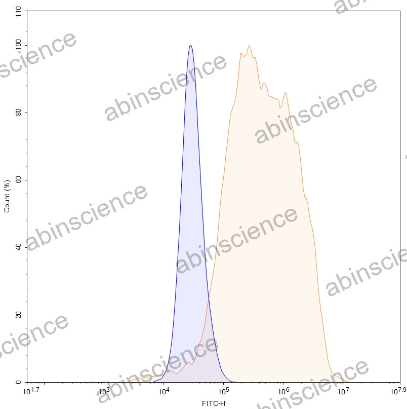 HEK293T Human CD221/IGF1R Stable Cell Line