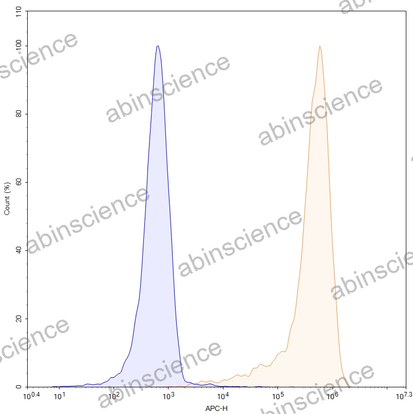 HEK293T Human CD64/FCGR1A Stable Cell Line