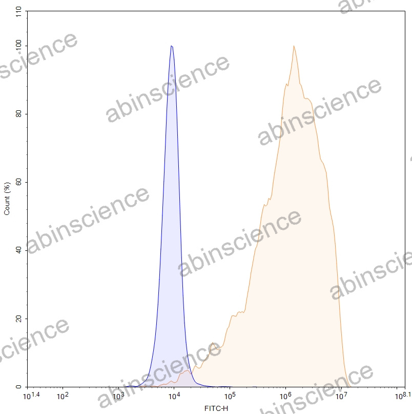 HEK293T Human TROP2/TACSTD2/TROP-2 Stable Cell Line