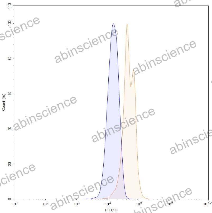 Anti-Human Glycogen Reference Antibody (Clervonafusp Alfa, RUO)