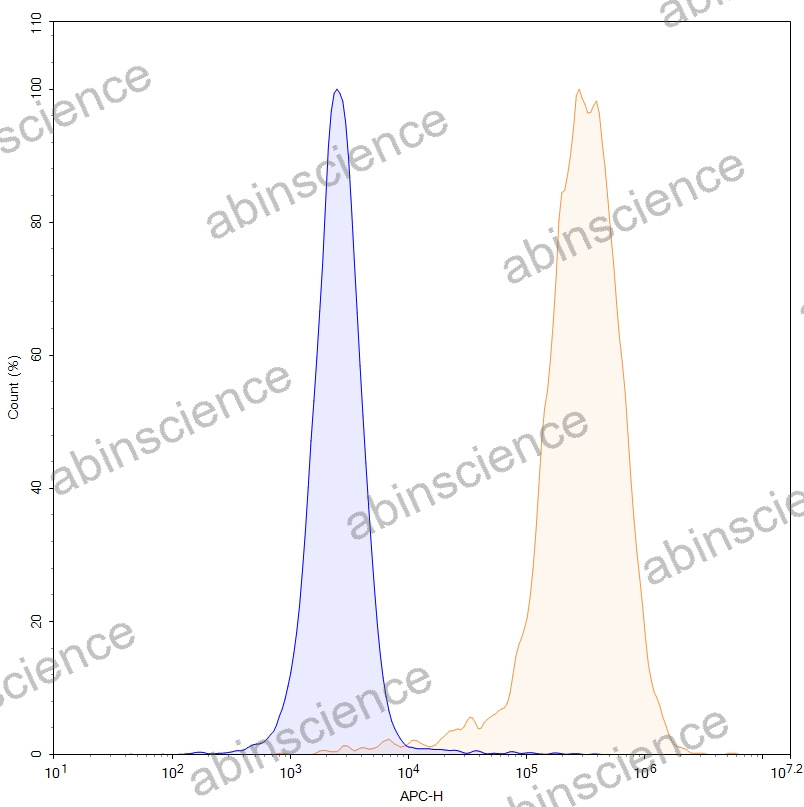 HEK293T Human CD16a/FCGR3A Stable Cell Line