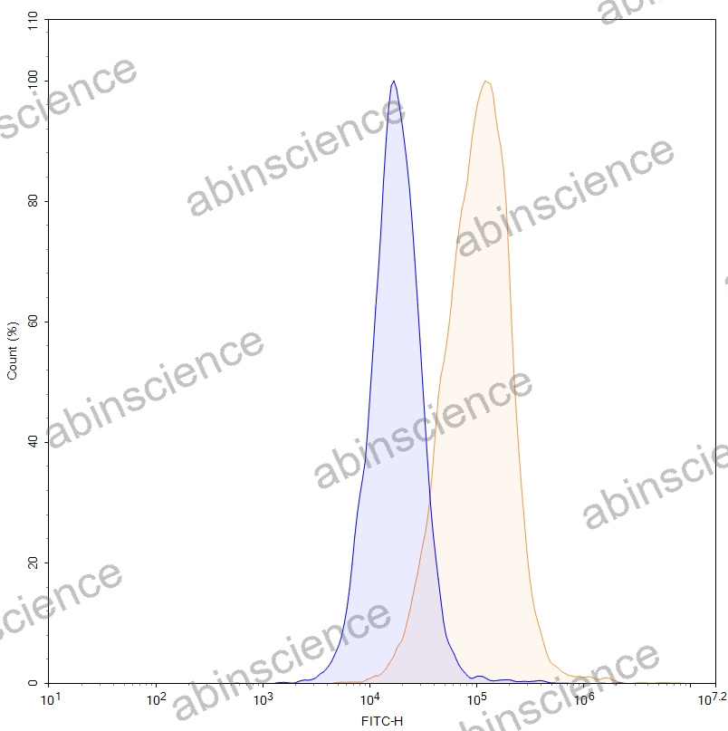 HEK293T Human CD324/CDH1 Stable Cell Line