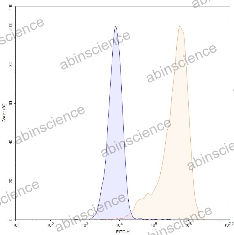 Research Grade Anti-Human ASGR1 (AMG 529)