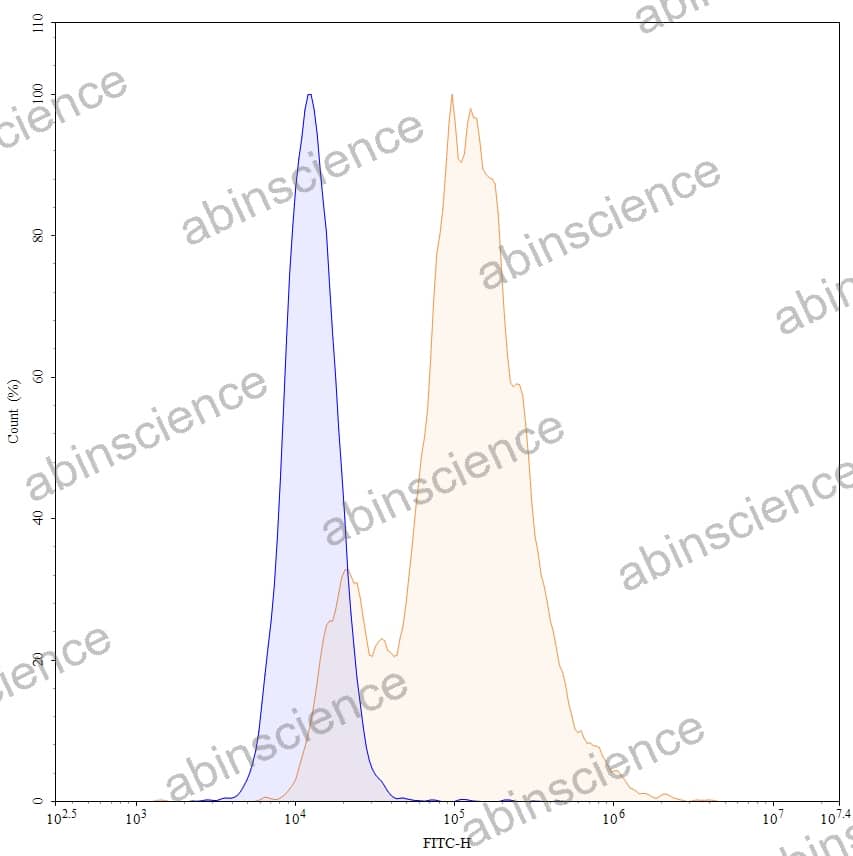 Anti-Human ALPPL2 Reference Antibody (SGN-ALPV, RUO)