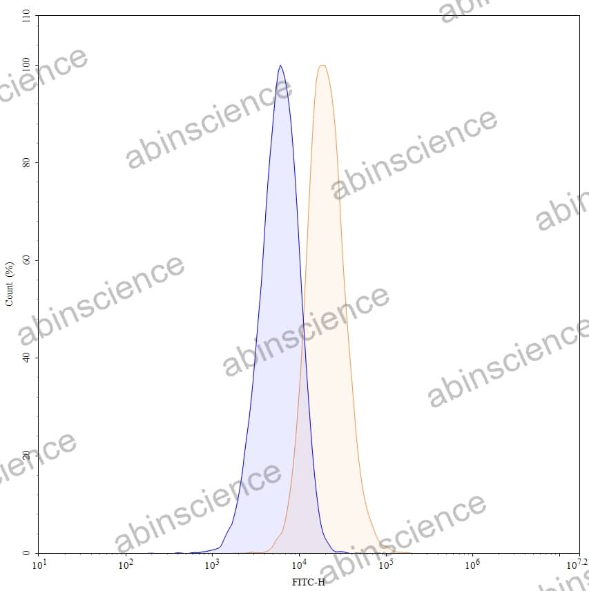 Anti-Human CD63/LAMP3 Antibody (SAA1394), FITC