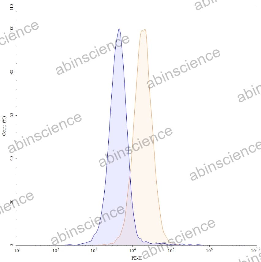 Anti-Human CD63/LAMP3 Recombinant Antibody (SAA1394), PE