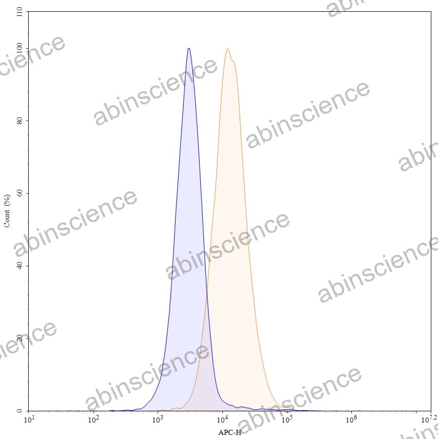 Anti-Human CD63/LAMP3 Recombinant Antibody (SAA1394), APC