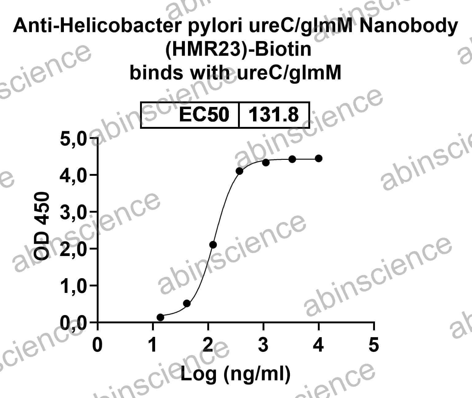 Anti-Helicobacter pylori ureC/glmM Recombinant Nanobody (HMR23)
