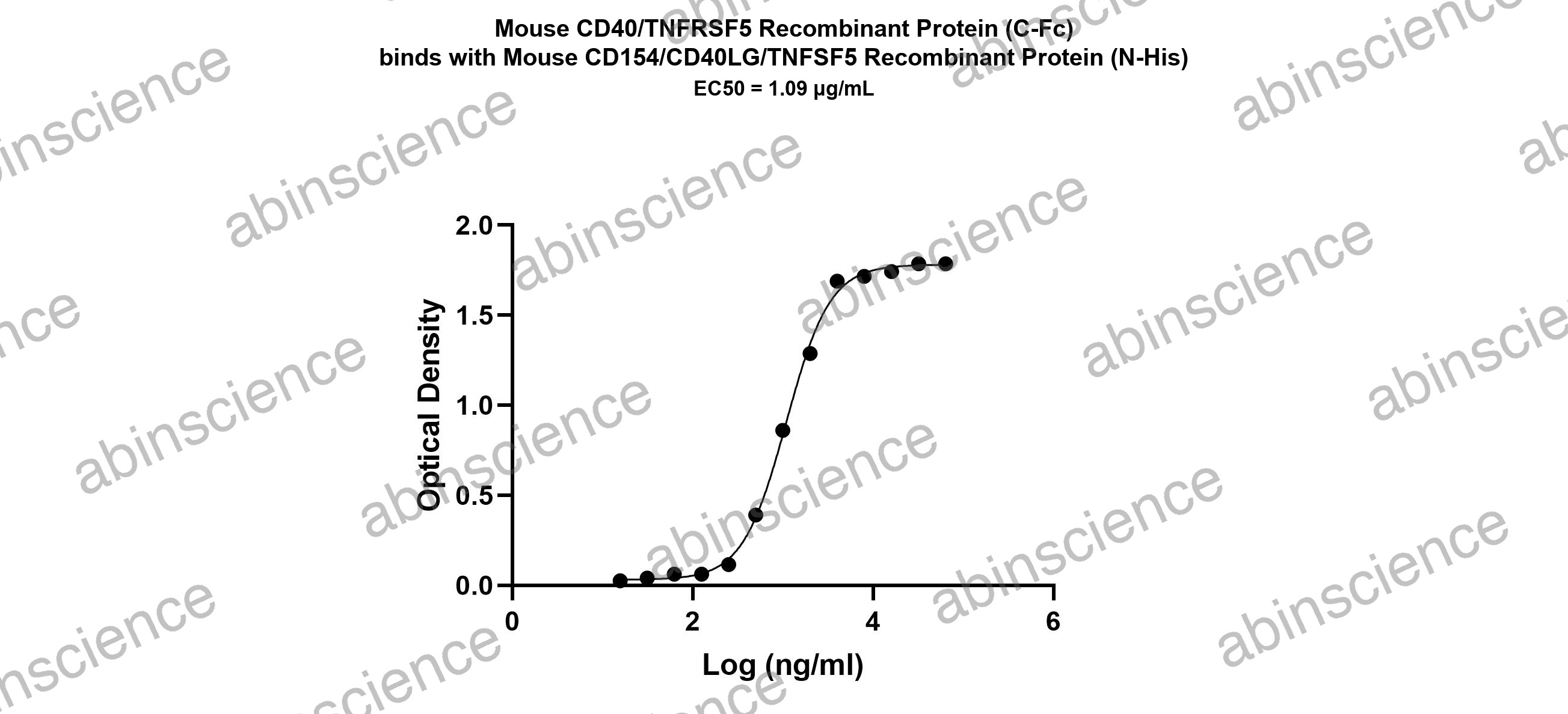 Mouse CD40/TNFRSF5 Recombinant Protein (C-Fc)