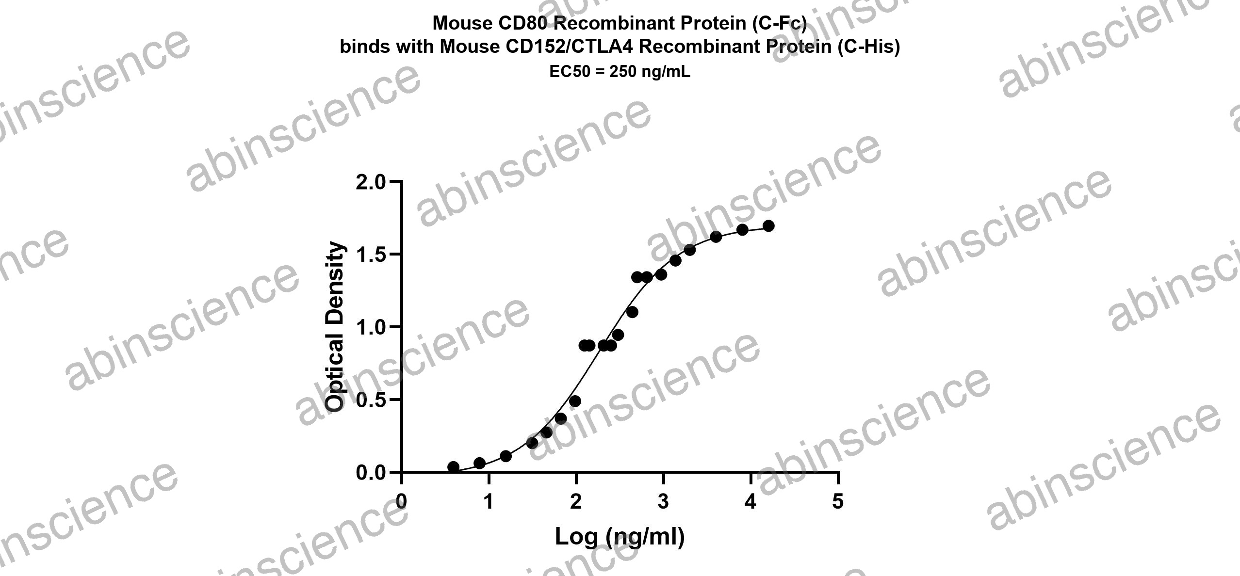 Mouse B7-1/CD80 Recombinant Protein (C-Fc)