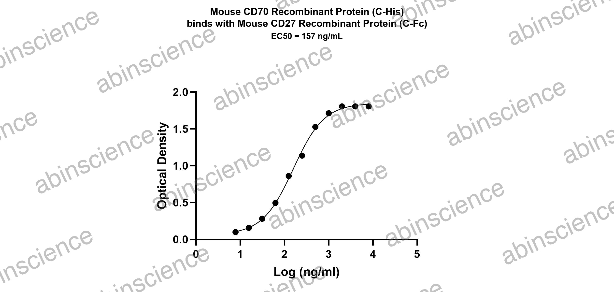 Mouse CD27 Ligand/TNFSF7/CD70Recombinant Protein (C-His)