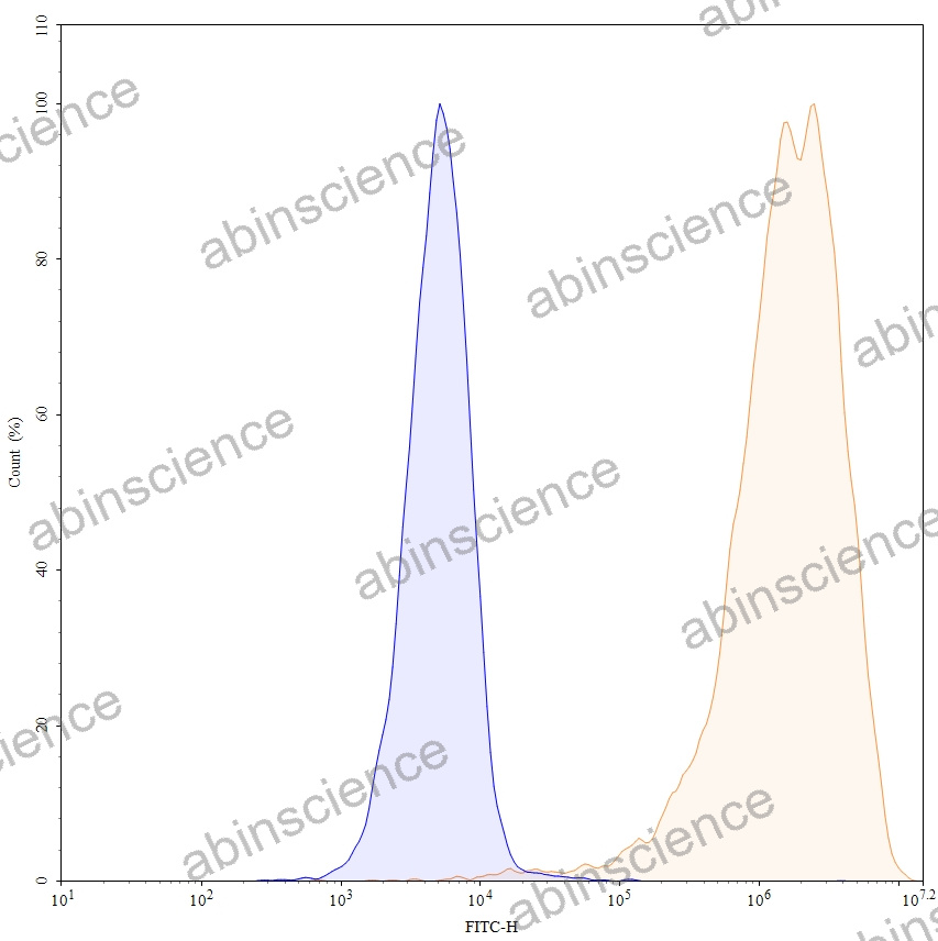 Anti-Mouse CD20/MS4A1 Recombinant Antibody (MB20-11)