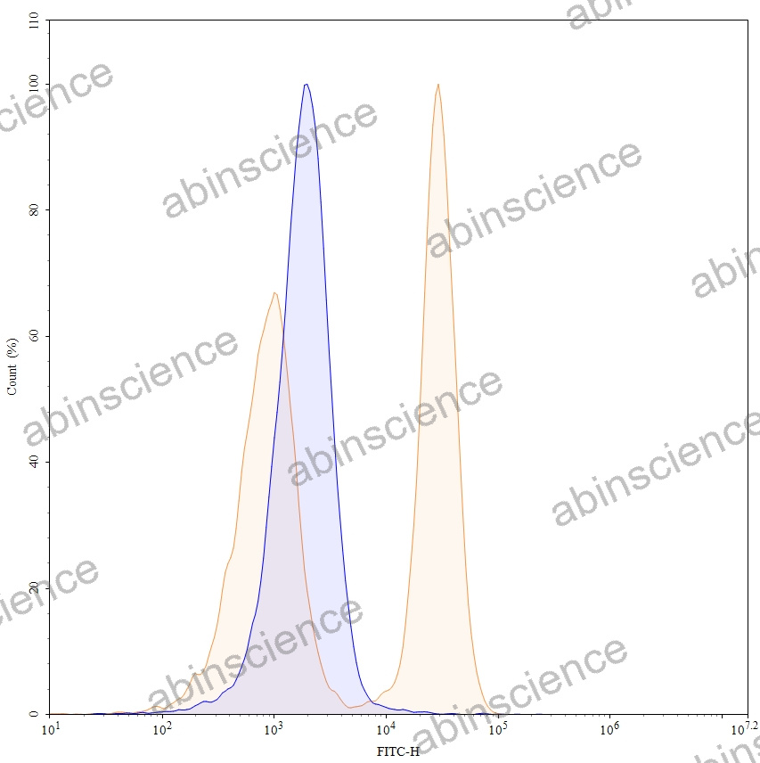 Anti-Mouse CD20/MS4A1 Recombinant Antibody (MB20-11)