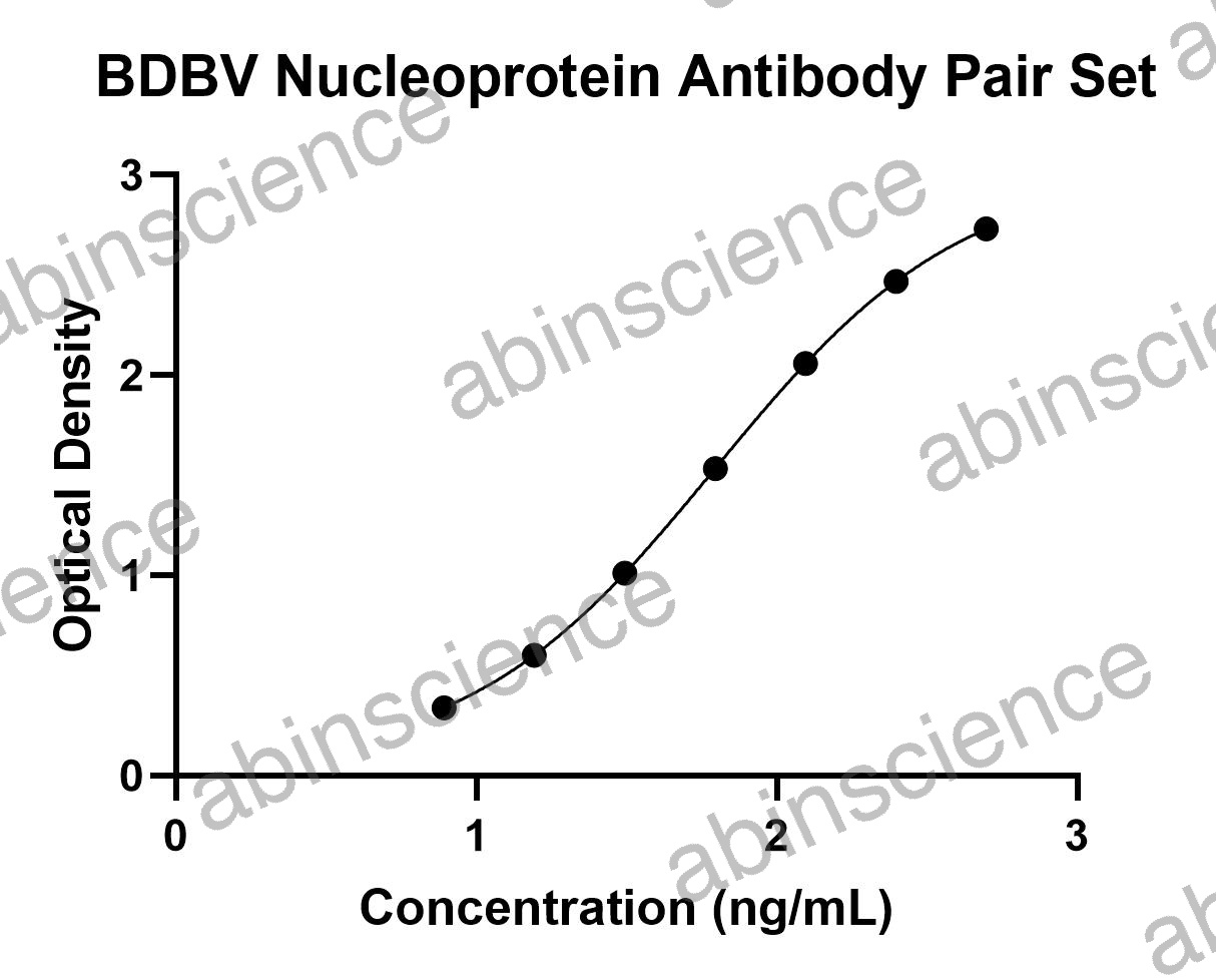 BDBV Nucleoprotein Antibody Pair Set