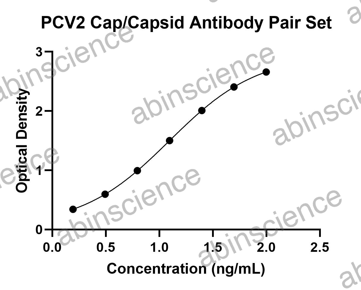 PCV2 Cap/Capsid Antibody Pair Set