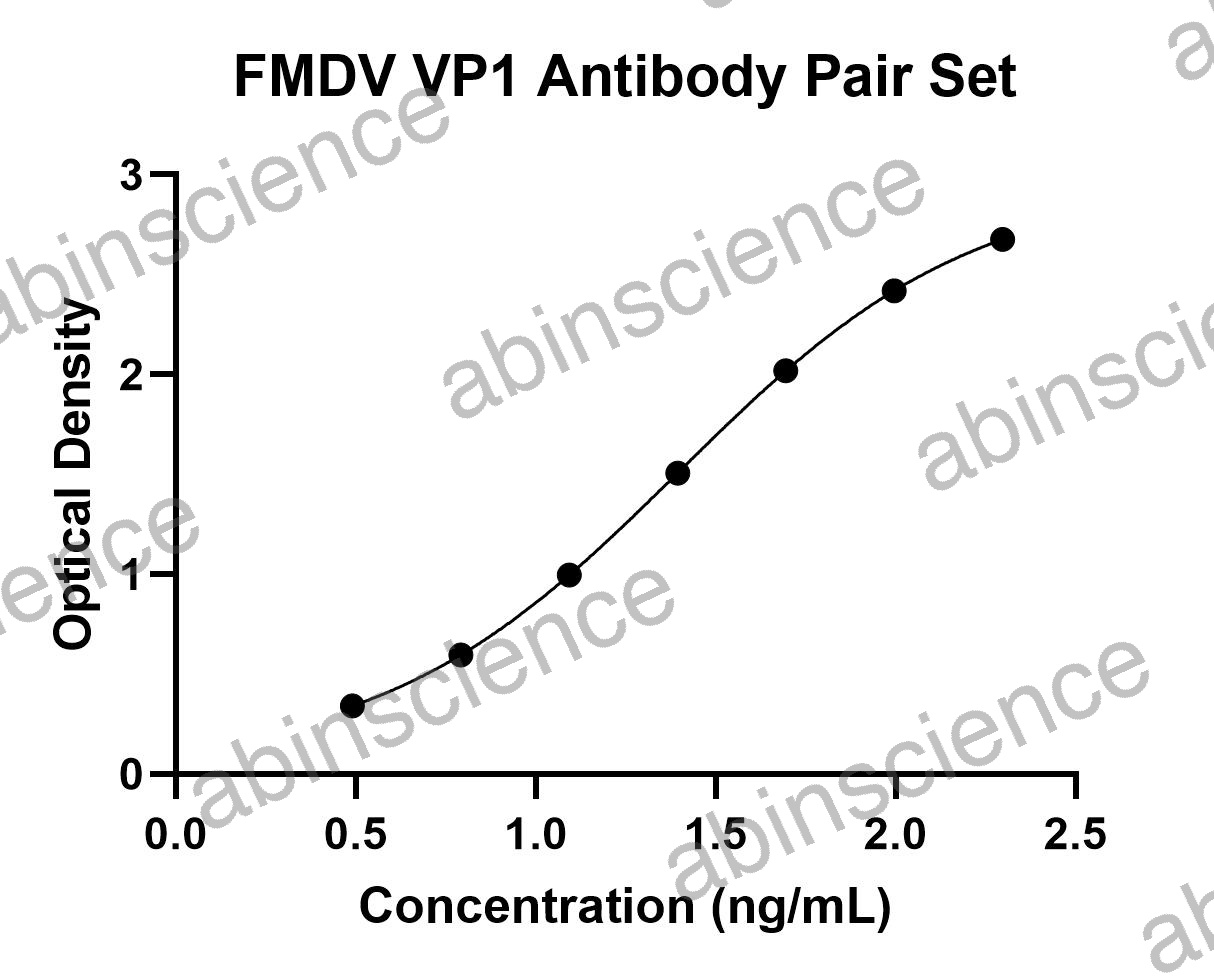 FMDV VP1 Antibody Pair Set