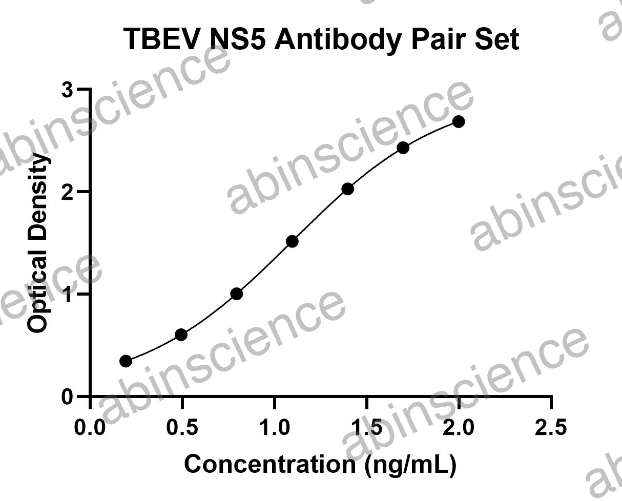 TBEV NS5 Antibody Pair Set