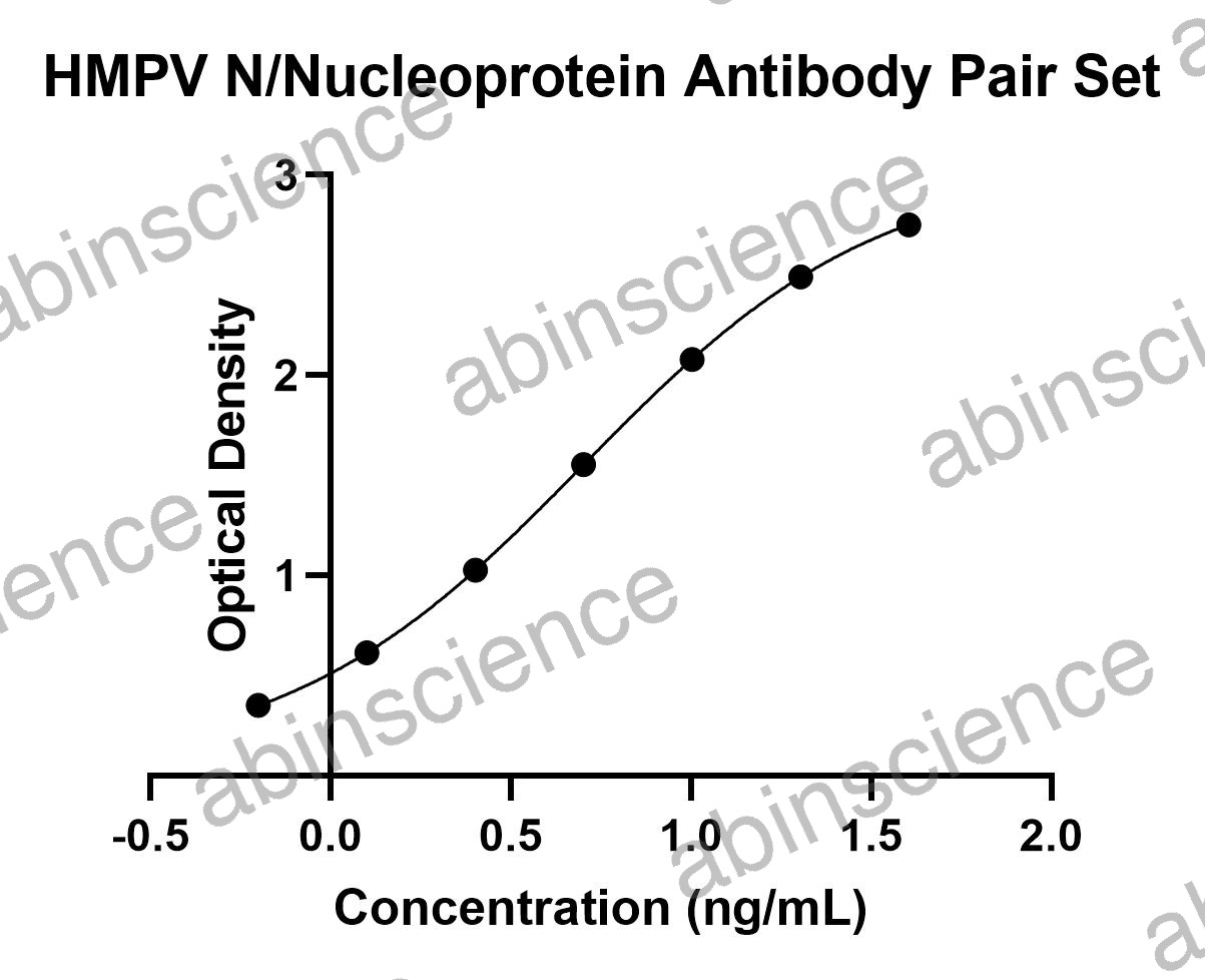 HMPV N/Nucleoprotein Antibody Pair Set