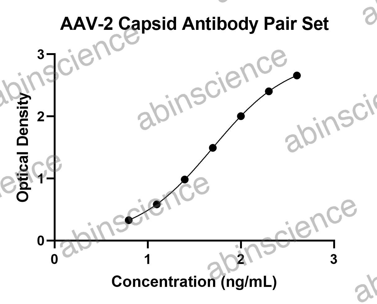 AAV-2 Capsid Titration Antibody Pair Set