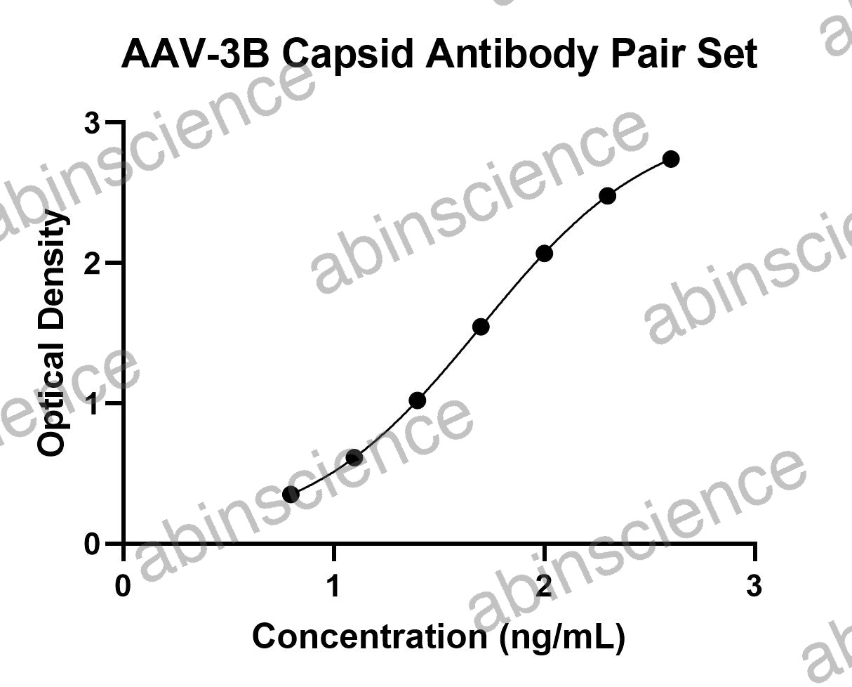 AAV-3B Capsid Titration Antibody Pair Set
