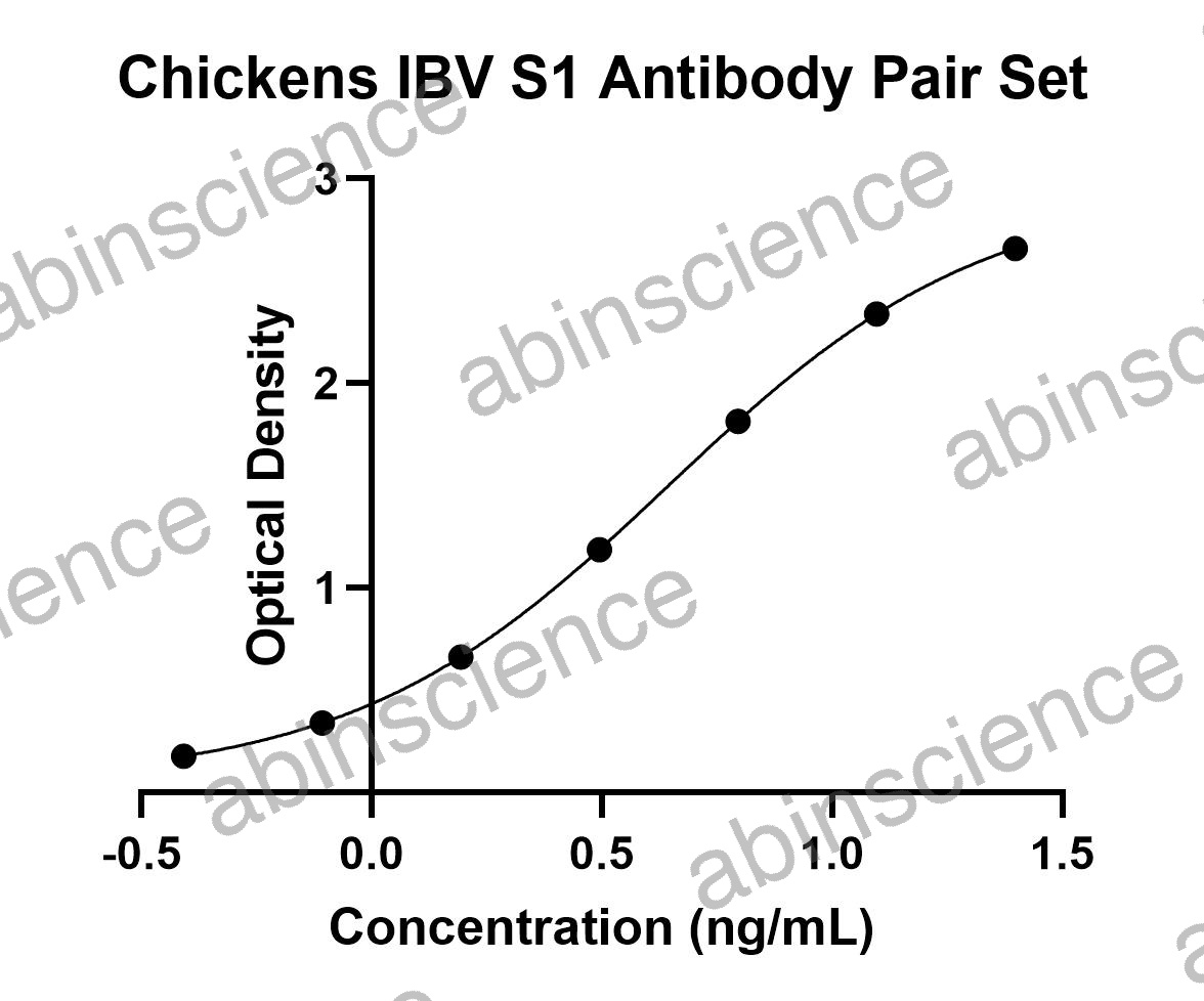 Chickens IBV S1 Antibody Pair Set